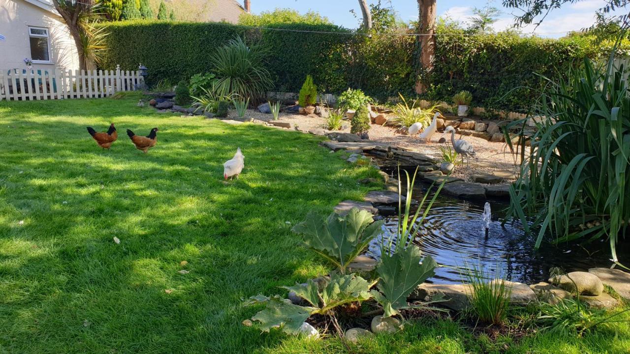 Appartamento The Duck House Swansea Esterno foto